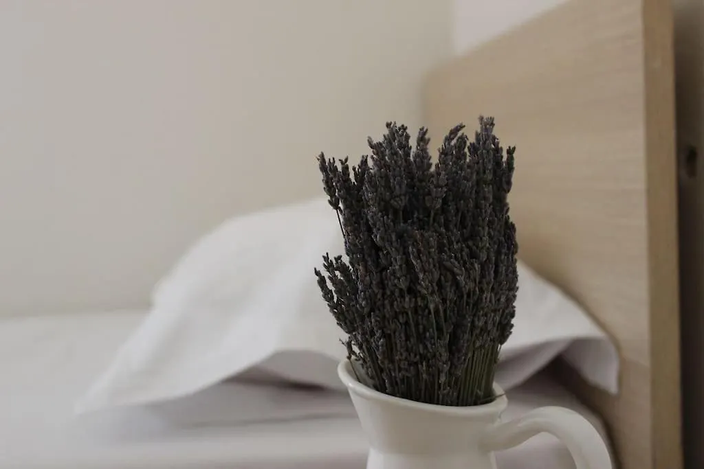 Lavandula Ring Tirana Apartment