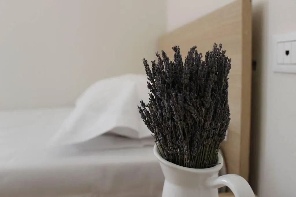 Apartment Lavandula Ring Tirana Albania