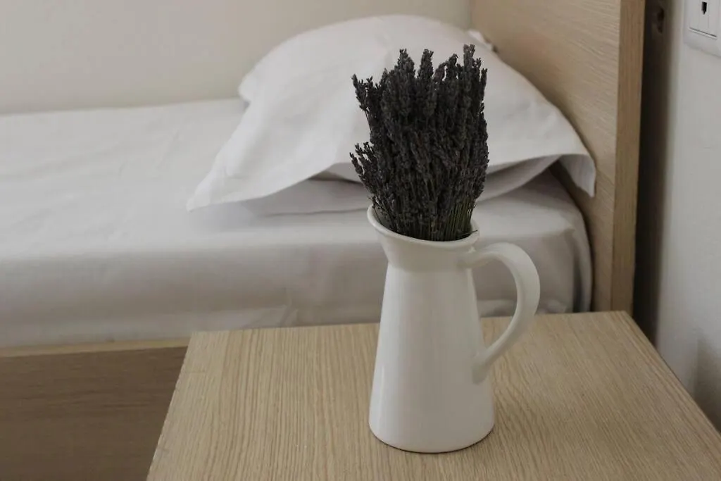 Lavandula Ring Tirana 0*,