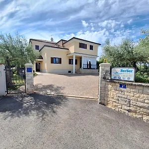 Berber , Babici Croazia